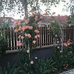 Magnólia Apartmanház Apartamento *
